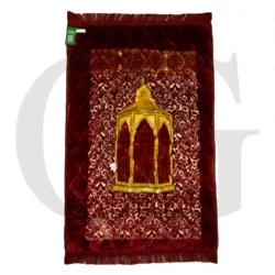 Velvet Orthopedic Ma