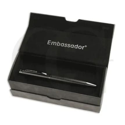 Ambassador Writes