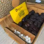 Oncampus Barakah Box