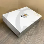 Inspirational corporate gift box symbolizing growth and success, with premium curated items.